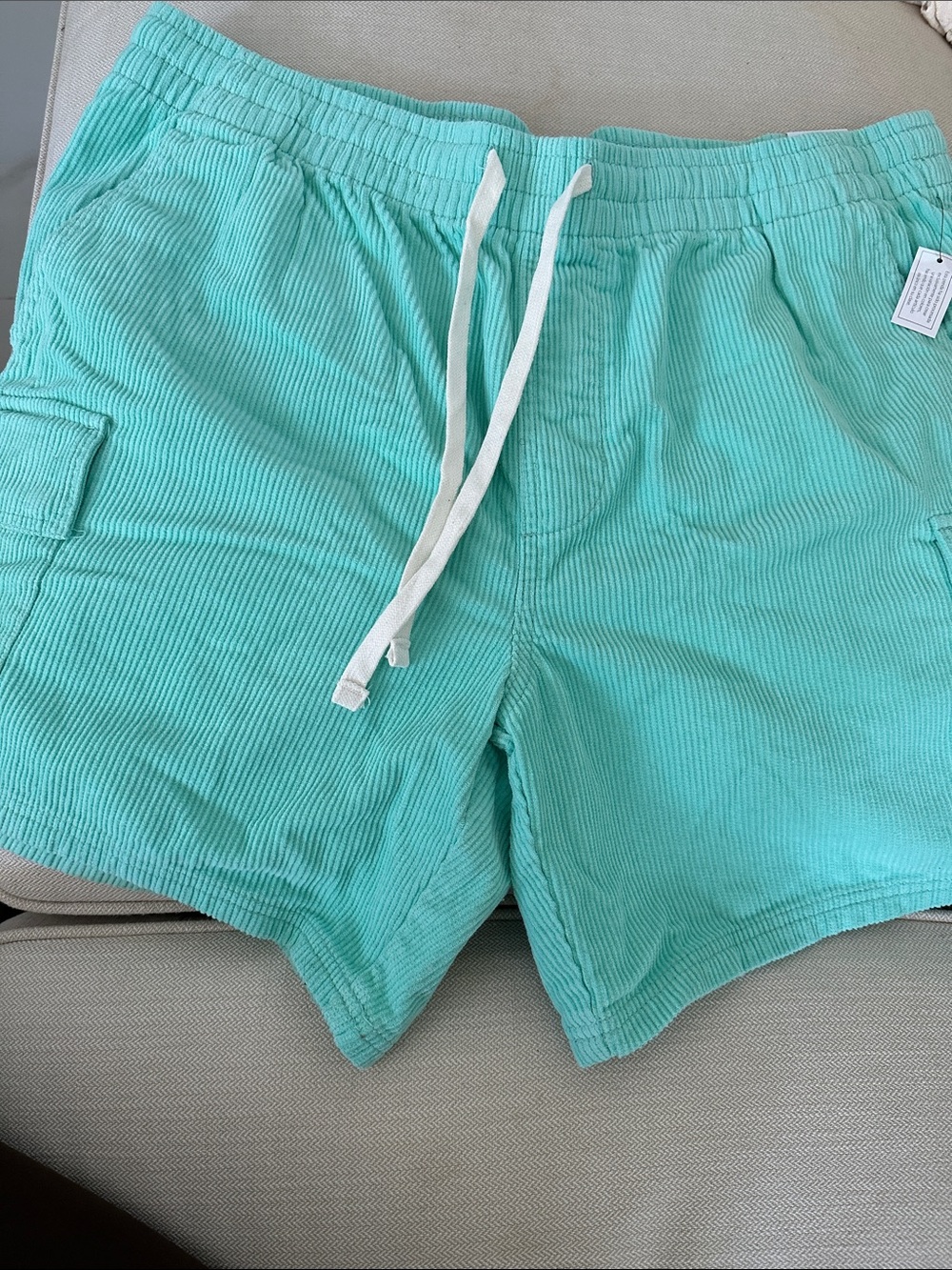 No Boundaries Men's Aqua Green Corduroy Cargo Shorts